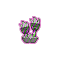 Exotic Binacle